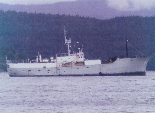 FishermanDirect's profile picture. We are fishermen and seafood brokers.  No one can beat our prices.