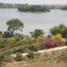 damasri4851's profile picture. 