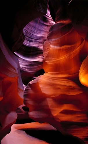 librarybook218's profile picture. アニメ、ゲームやってます　気軽にフォローよろ