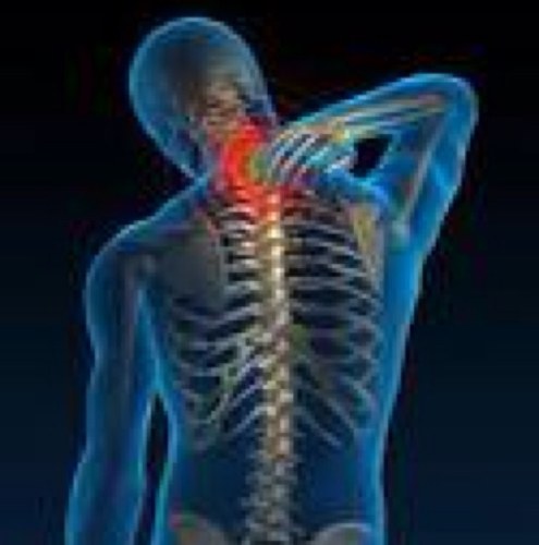 Bettybirch's profile picture. Sports Massage Therapist in Plymouth Committed to the prevention, diagnosis and rehabilitation of injuries. lbmassagetherapist@hotmail.com