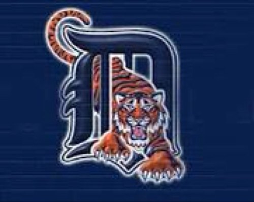 small government constitutional conservative, lover of freedom and free speech, huge Tigers fan