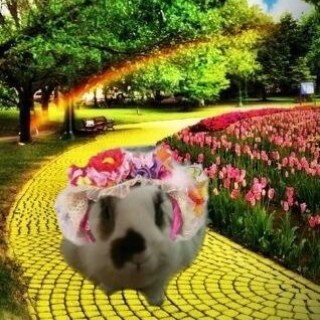 Jail / twitmo account for @Bilbo_the_bunny
