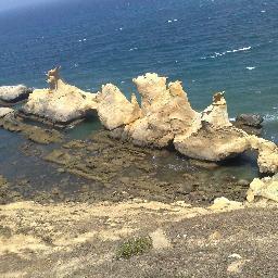 tng_mor's profile picture. 