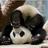 Pandagirl