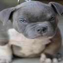 caitlyn fox - @cfox97 - Twitter