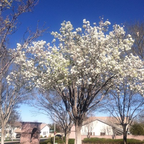 timinggamer's profile picture. US Stock.  Anthony Bourdain, Travel Channel,