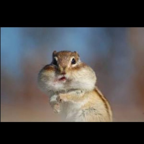 24ga43's profile picture. なにごともぎりぎりす、。