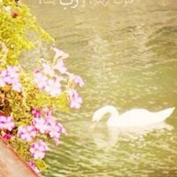 خلود المنيف (@kholoud_m3) 's Twitter Profile