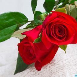 khalid210_k's profile picture. جميل هو آلآهتمآمَ ، جميل أنَ تصبح شيء ثمينَ لدىَ شَخصَ يخآف فقدآنكَ يوماً ♡