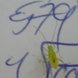 dl8mbs's profile picture. :-))) are CW, qrp, operating portable and contesting (cu in WAG https://t.co/tYxTIa2kpL)