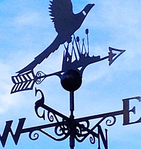 montydont's profile picture. Reluctant gardener and cook, but crochet enthusiast and keen crafter.