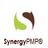 Synergy PMP®