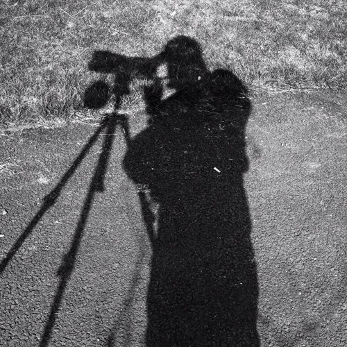 Overland360's profile picture. Founded in 2010, Overland Ecology is an ecological service provider specialising in ornithology/ecology surveys and project management.