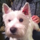 scott weiser - @weiscott - Twitter