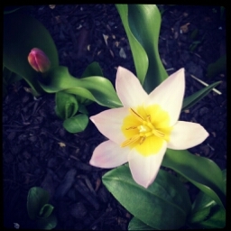 AijimaYuki's profile picture. 小鳥を溺愛♥NBA好き♥サイバードの恋ゲーにハマり中(ボルテは飽きた)♥短歌や俳句を詠んだり♥イラストやネイルアートの練習したり♥脚本かきたかったり♥インチキ英語のんびり勉強中とか腱鞘炎だったり(笑)
（読みたい方だけ無差別にフォローしてます♪つまらないツイートしかしません。たまにRTします。儲け話は興味なし）