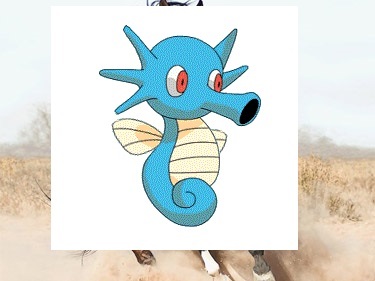 Known to shoot down flying bugs with precision blasts of ink from the surface of the water.