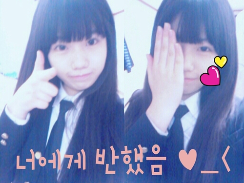 샤월,힙순이
