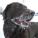 Heather Danielson - @PepHeather - Twitter