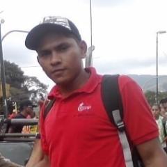 Militante revolucionario