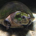 Brian McClellan - @the_Mcster - Twitter