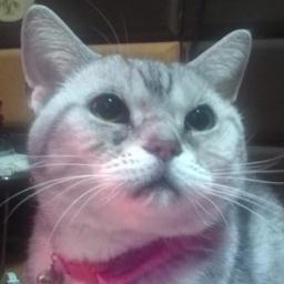 teto46578072's profile picture. 