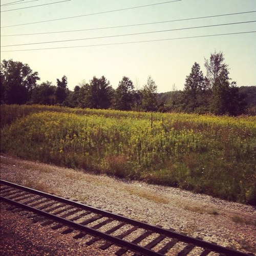 commuter_tales's profile picture. 