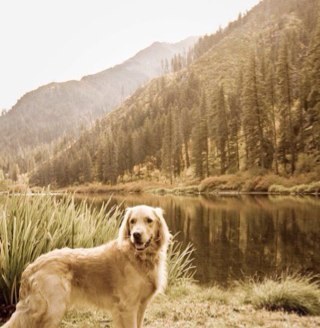 cinimoose's profile picture. 