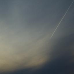 hiiarc's profile picture. 