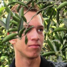 Elhadary92's profile picture. 