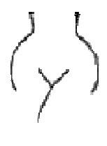 Your New Favorite Adult Novelty Boutique