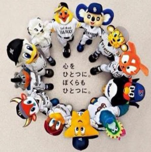 windows9800's profile picture. 18禁の世界に身を置く会社員。好きなものはお酒、お刺身、音楽、野球、どうぶつです。