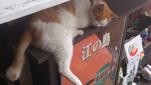 ❣️れいわフレンズ❣️選挙に行こう❗️ 積極財政❗️食の安全と農業の復活❗️消費税廃止❗️予防接種不要❗️脱原発❗️護憲派❗️氷河期世代ど真ん中❣️職業: 社会福祉士、介護士🤗メロンパンでは死なねぇつってんだろォォー‼️