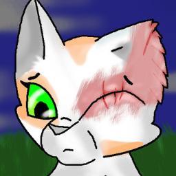 bramblemask512's profile picture. Nintendo gamer,love the Warriors series,
 and is currently waiting for the next book in the Warriors world. Currently writing story.