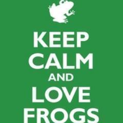 jonifroggy's profile picture. 