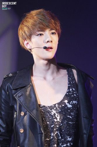 สวัสดีค้าบ.. ผม 오 세 훈! มักเน่น้อยแห่ง EXO-K นะครับ! ผม..ก็ฝากบอทผมหน่อยนะครับ ผมจะดูแลคุณให้ดีที่สุดเลยคร้าบ! ผมสัญญา (♥ówò)ﾉ♡ รับหัวใจผมไปหน่อยนะครับ