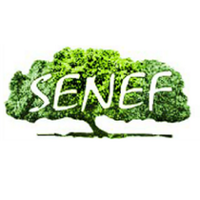 SENEF (@senefext) 's Twitter Profile