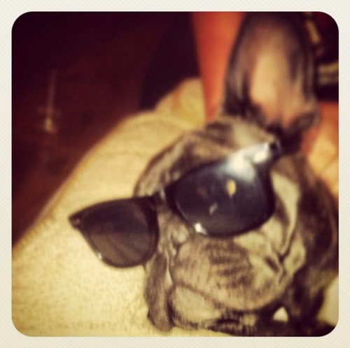 Sashabashamuz's profile picture. 