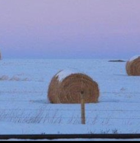 Why is Ottawa abandoning swaths of prairie grassland? http://t.co/5X6Z1cJw9K via @globeandmail