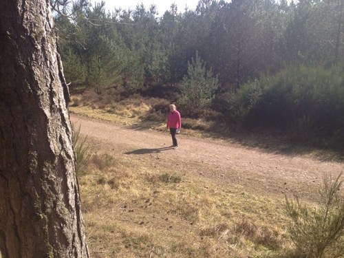 lada5576lol's profile picture. Fav music Canterbury & The Blackout & Blitz Kids and A Tale of Two Cities & Out For Tomorrow :)