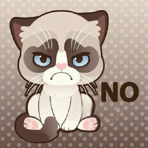 RKOxDiva's profile picture. Be warned that I tweet celebs, wrestlers & divas... a lot.