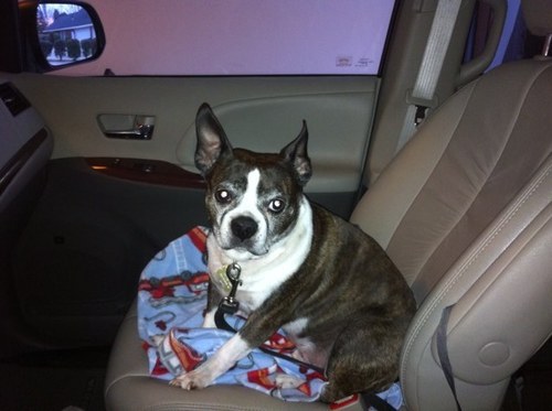 drmemere's profile picture. 