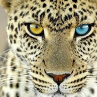 José Antonio Portero (@ja_portero) 's Twitter Profile
