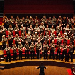 We are a ladies Barbershop Chorus currently placed 8th in the country and working to get higher. A friendly lively group who meet every Thursday evening.