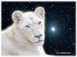 Heretic. Freedom~seeker. Anti~government. Anti~fiat. Anti~theft thru taxation. Pro precious metals. Pro bitcoin. Pro TEOTMSAWKI.
