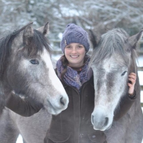 Connemara Pony Breeder and Riding Instructor
