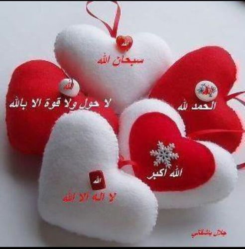 أنآ لسٍت گ بآقيِ آلنسٍآءأنثے نعٍﻤ ولگن أنثے آسٍتثنآئيِة