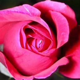 FannyLERHUN's profile picture. 