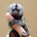 Sharon Horwood - @SharonTracy - Twitter