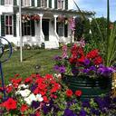 Irma Pedersen - @irma_pedersen - Twitter