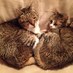 Mary Nancy Toscano (@mayday5210) Twitter profile photo Mary Nancy Toscano (@mayday5210) Twitter profile photo